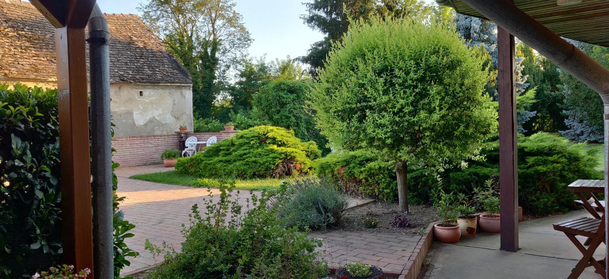 Korona Panzio Bed & Breakfast Balatonbereny Exterior photo