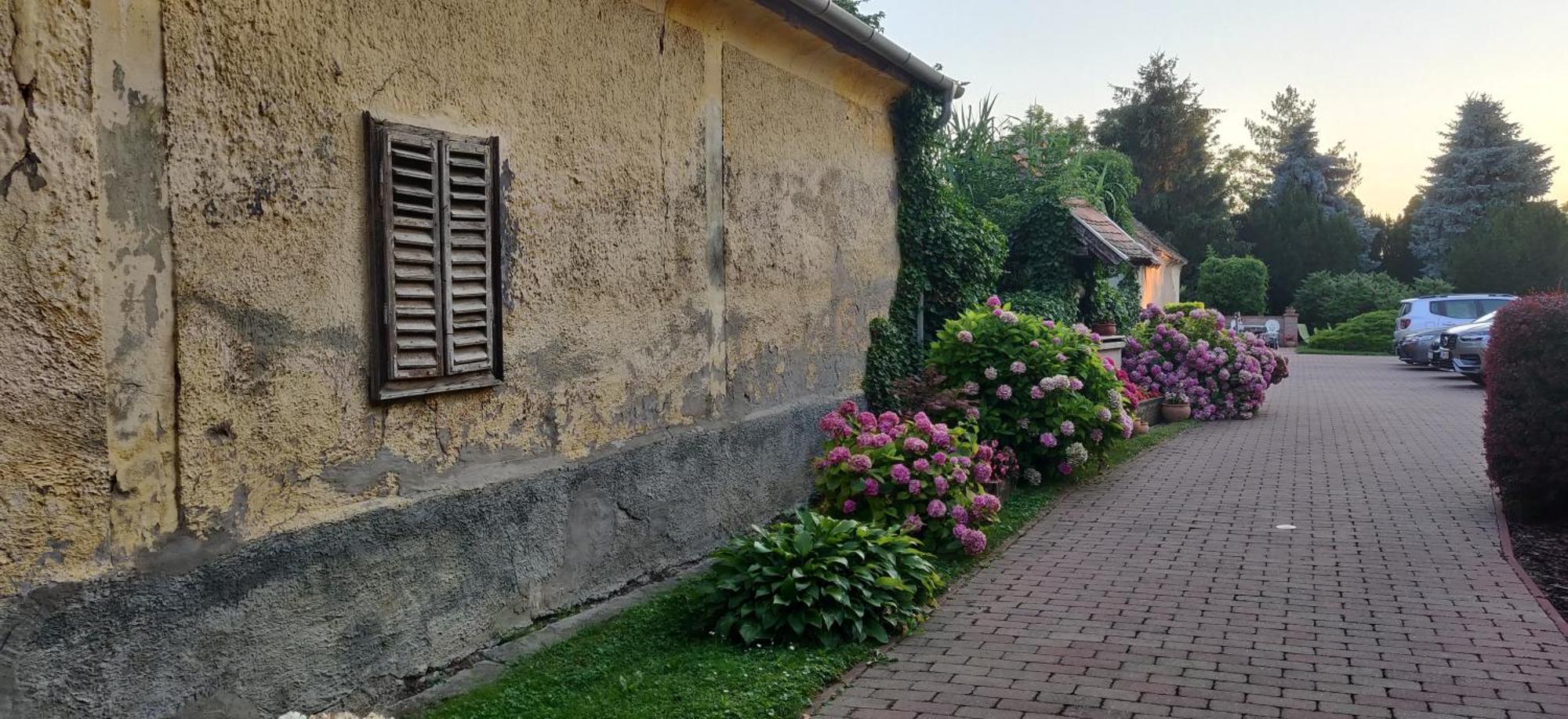 Korona Panzio Bed & Breakfast Balatonbereny Exterior photo